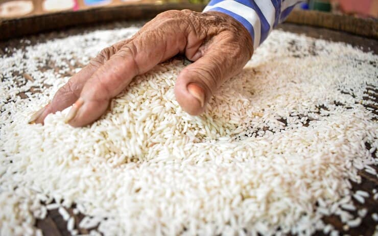 خرید برنج هاشمی شمشیری + قیمت فروش استثنایی